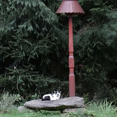 Dom Na Wzgorzu Séjour chez l'habitant