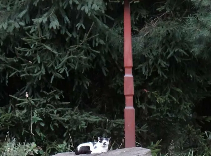 Dom Na Wzgórzu Kwatera prywatna