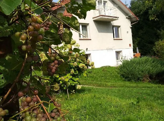 Dom Na Wzgórzu Kwatera prywatna